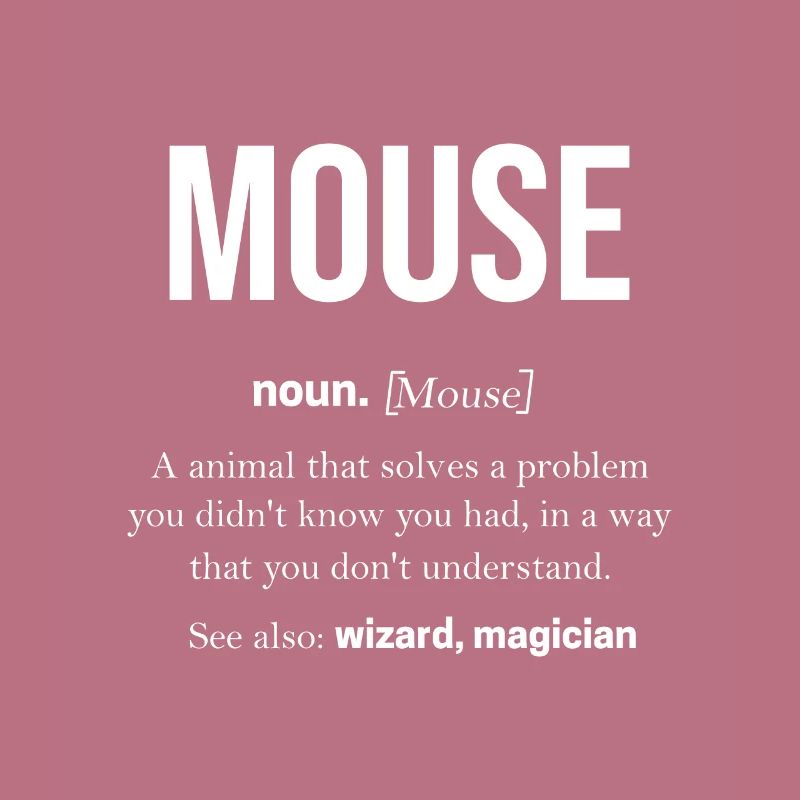 Mouse Gift Mice Kids Men Mouse Advice
