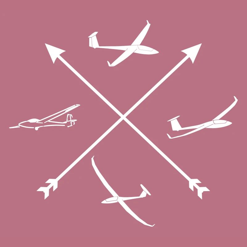 Compass Glider Glider Pilot Glider