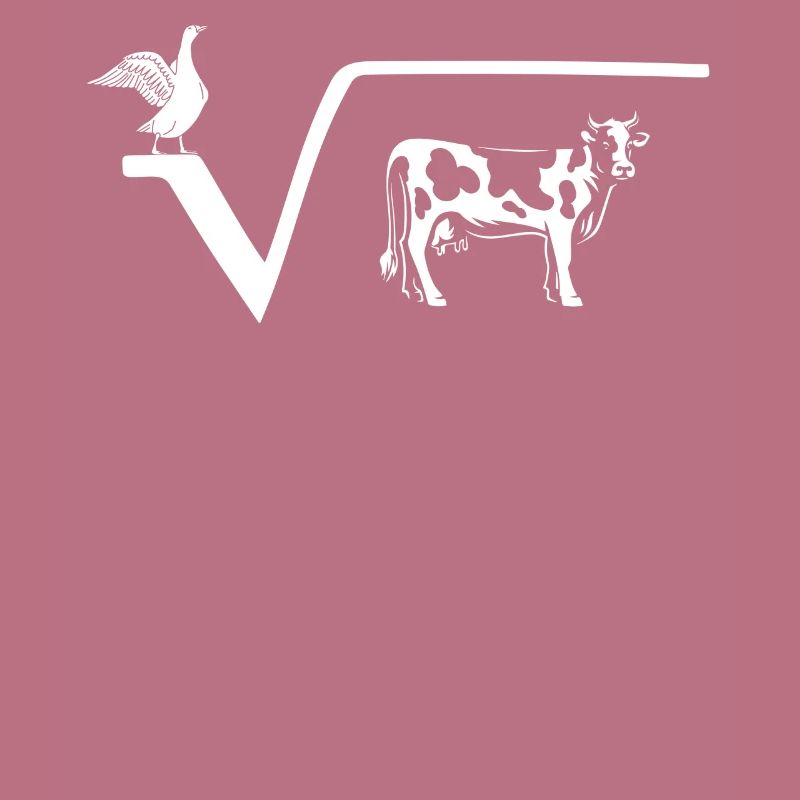 N a radice di mucca, matematica, matematica