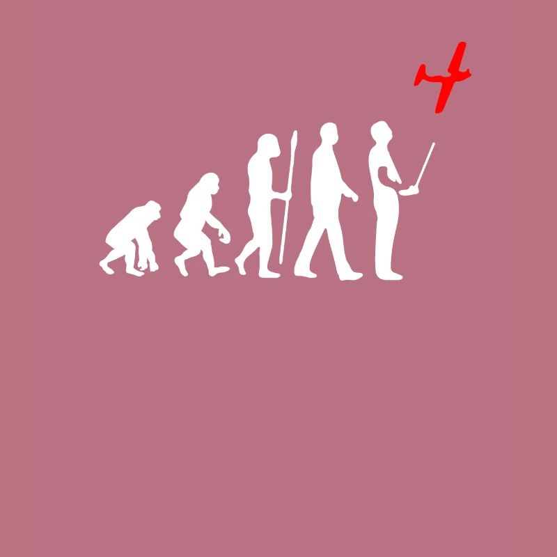 Modellflug Evolution