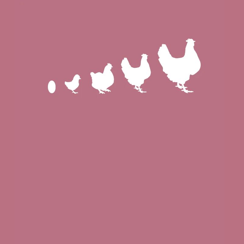 von Ei bis Huhn Evolution Hühner