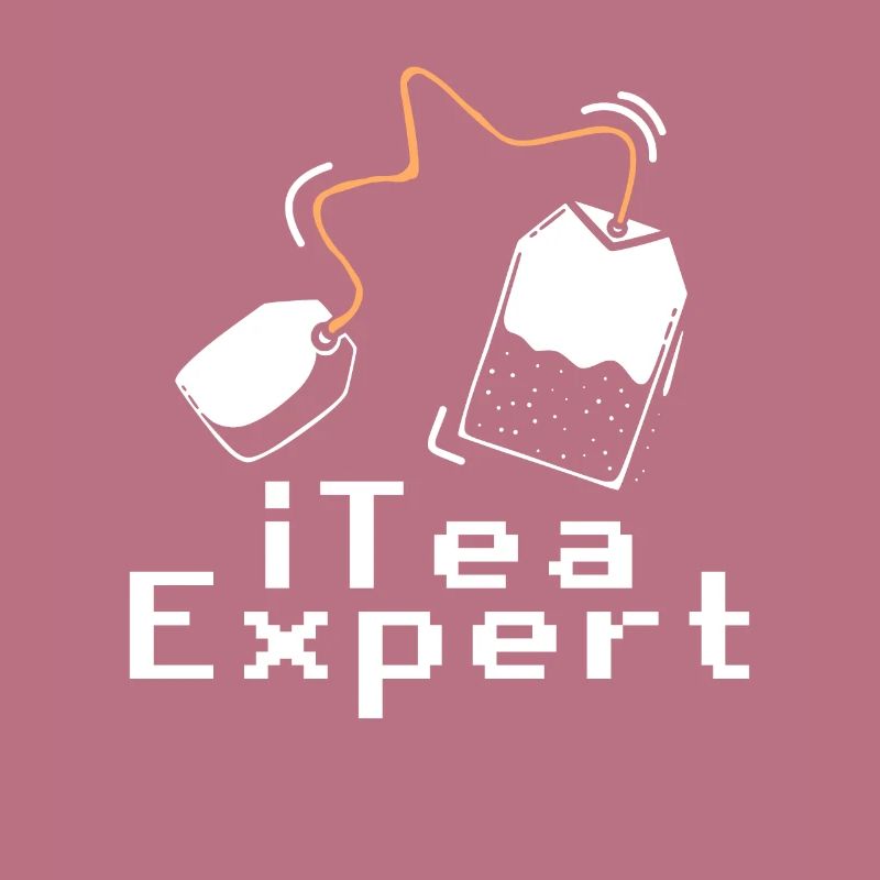 Itea Expert Programmeur de logiciels informatiques