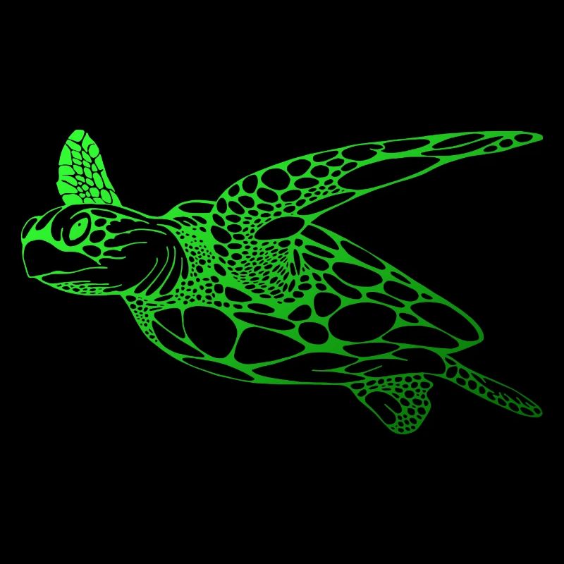 dive diver turtle turtle diving divers