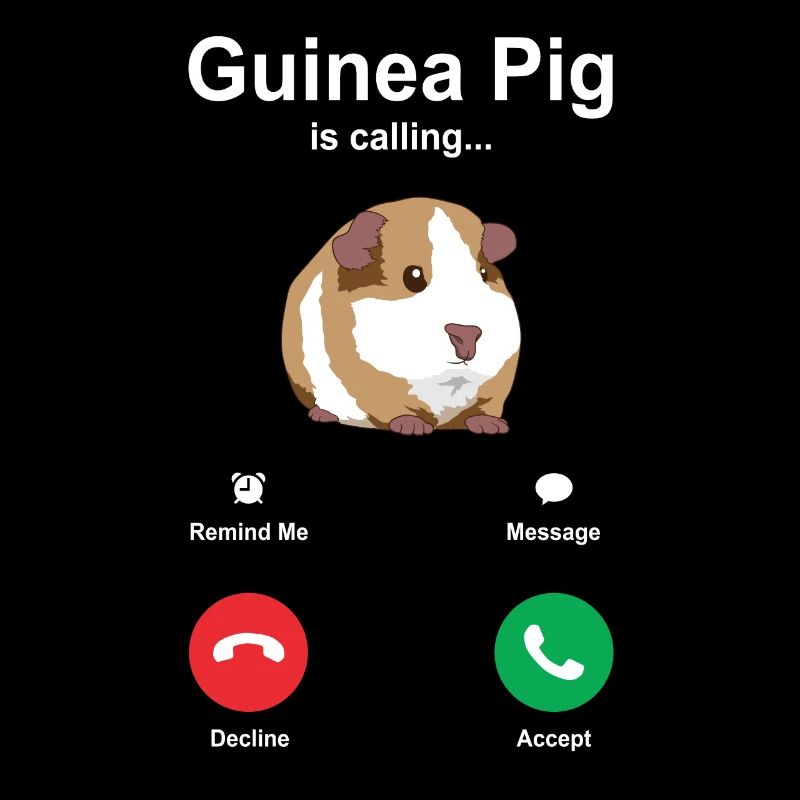Cavy guinea pig