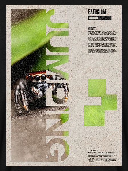 Jumping Spider Modern Art