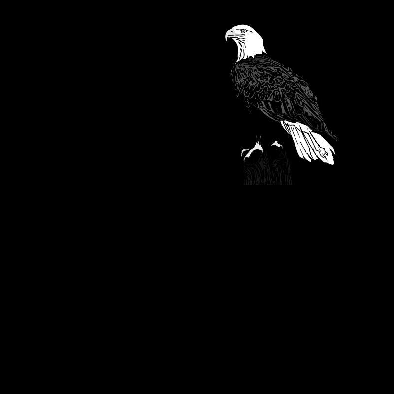 Aigle