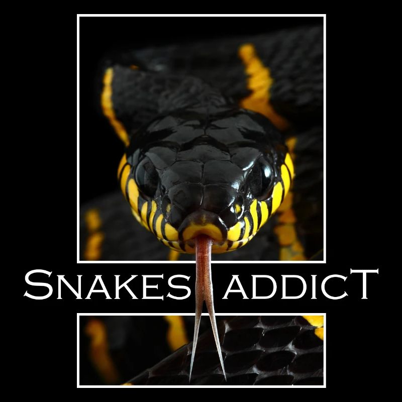 Snakes addict