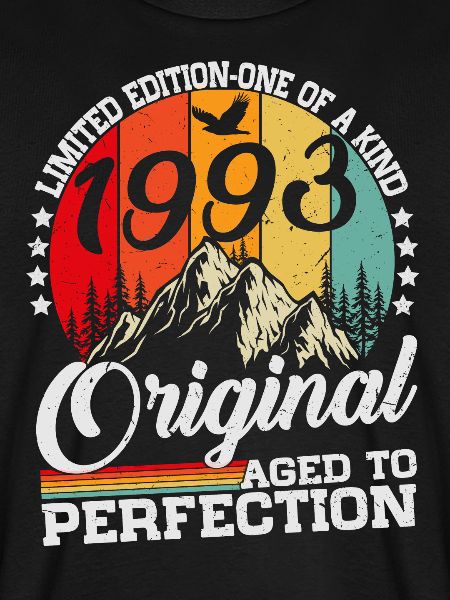 Vintage 1993 Vintage Retro Birthday Gift