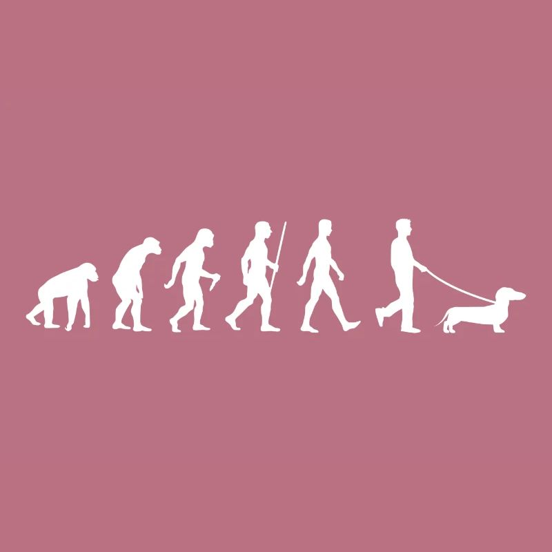 Dackel Evolution Teckel Dachshund