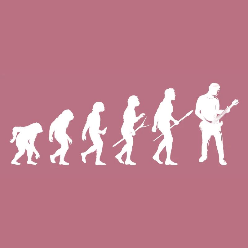 guitar gitarre evolution