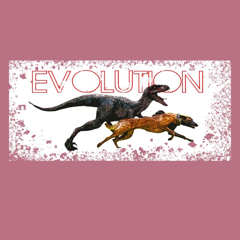 Evolution BD chien