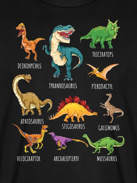 Dinosaurus Types Graphics Dino T-Rex Boys Dino's