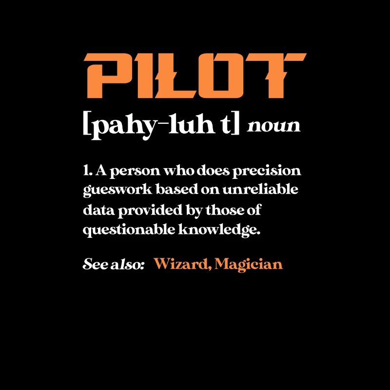 Pilot Airplane Flying Flyer Gift