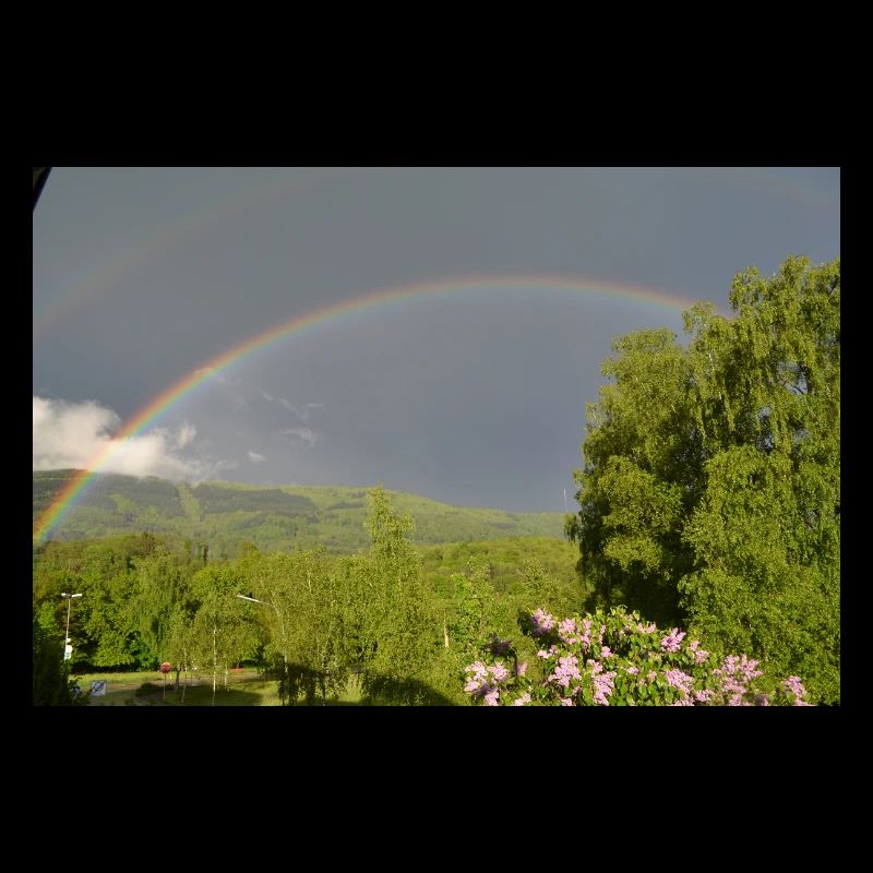 Regenbogen