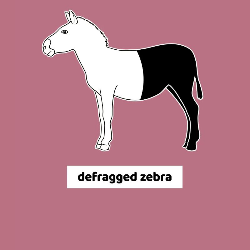 Informatiker Computer Rechner Humor Zebra Defrag
