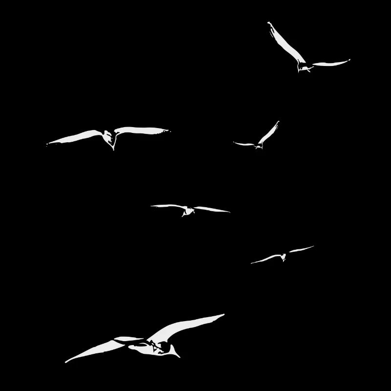 Möwen im FLug Meer Strand Urlaub Geschenk
