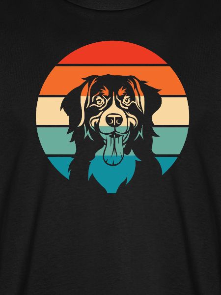 Berner Sennen hund
