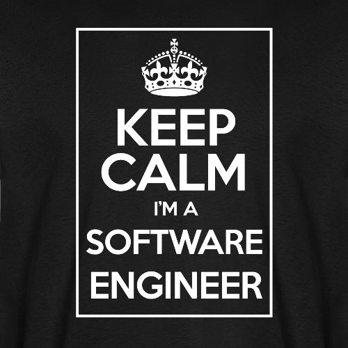 I'm a software Engineer - Men's Premium Organic T-Shirt