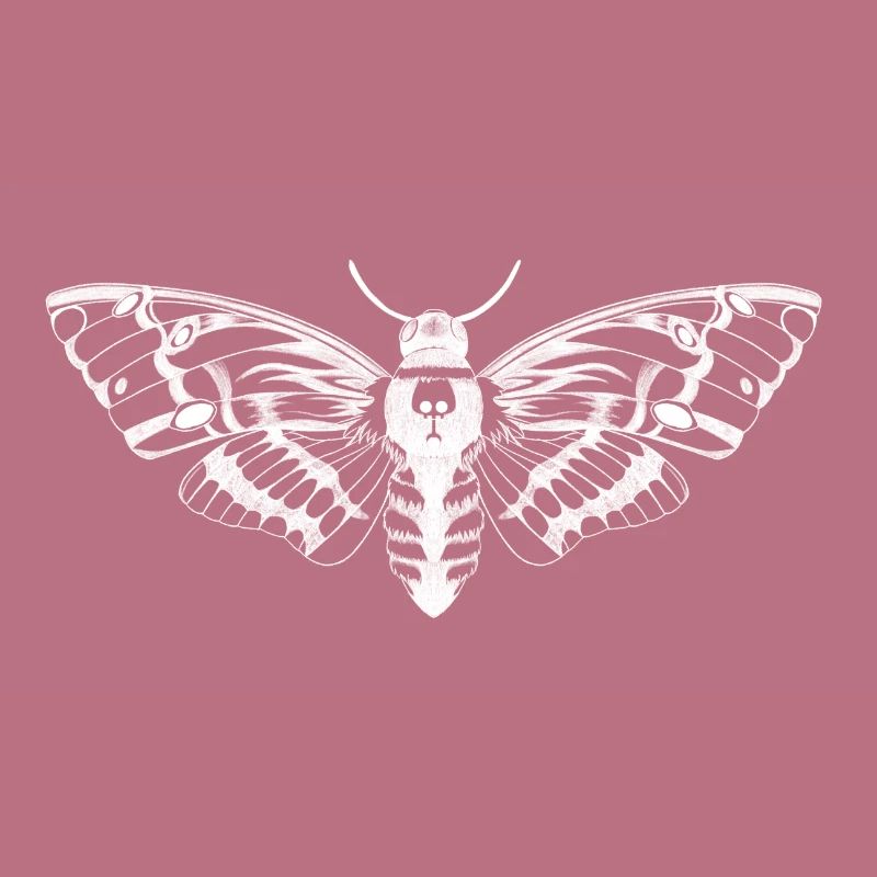 Skull moth illustration / white moth