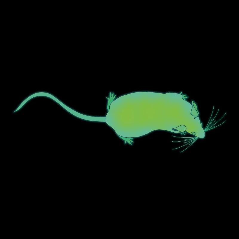 Bio Souris