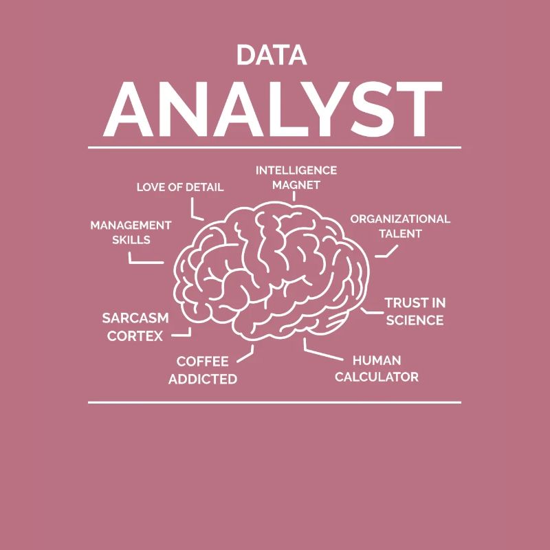 Data Analyst