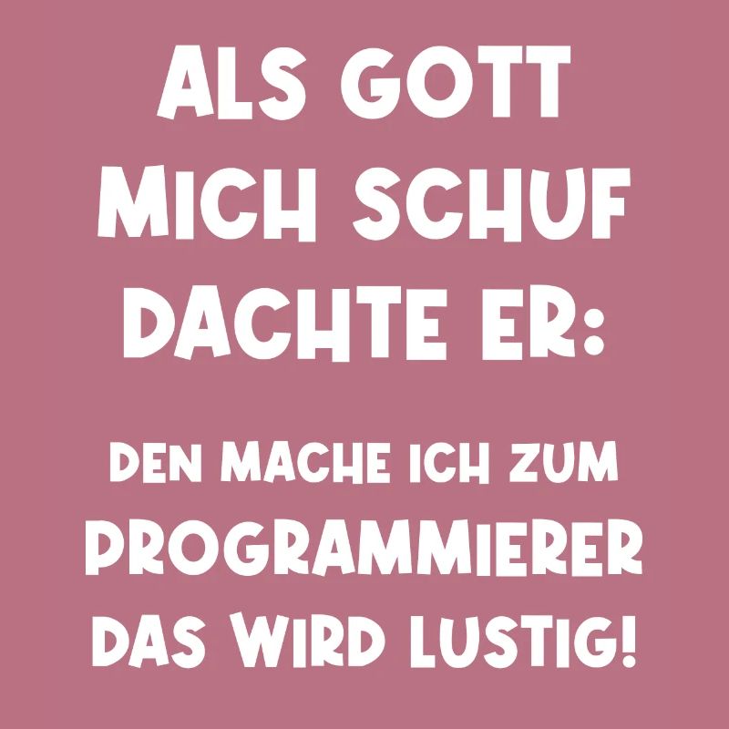 Programmierer Informatiker Softwareentwickler