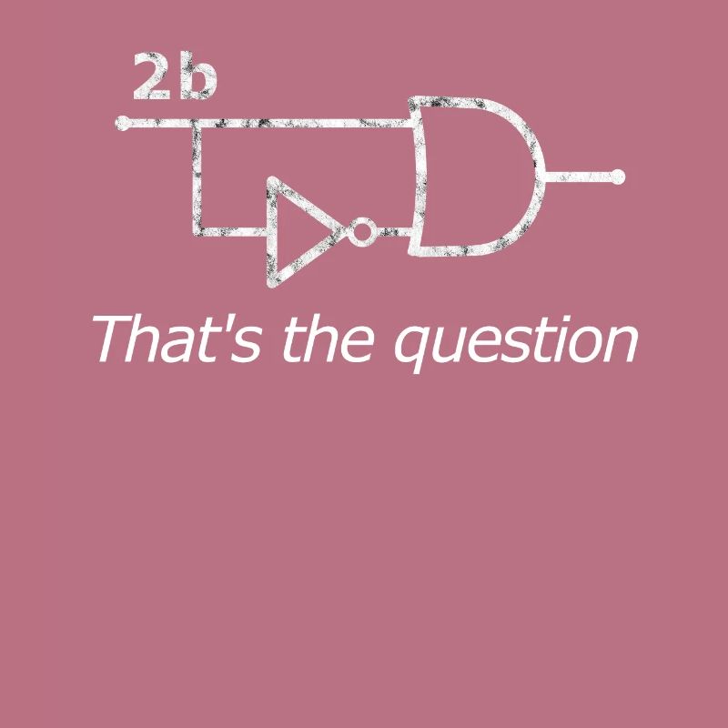 2b or not 2b Circuit - computer scientist programmer