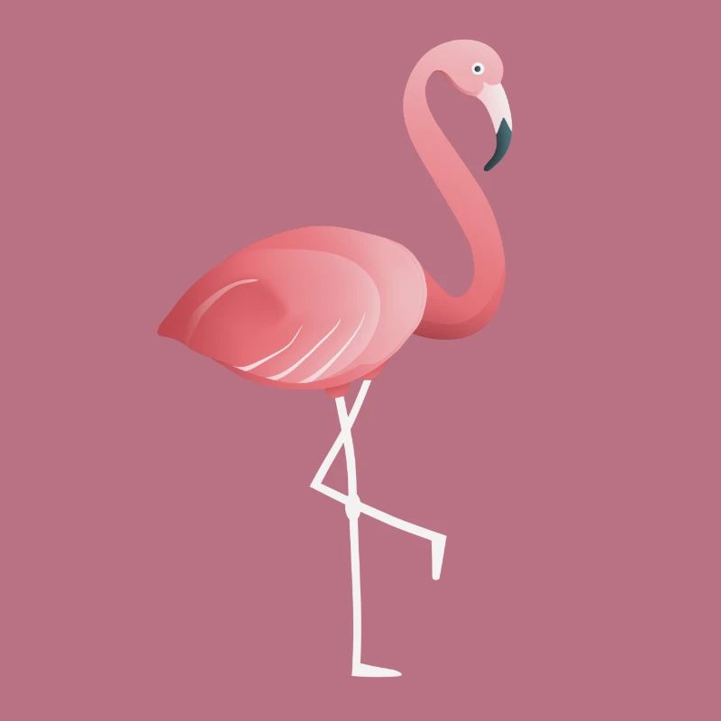 Flamant rose sur une jambe