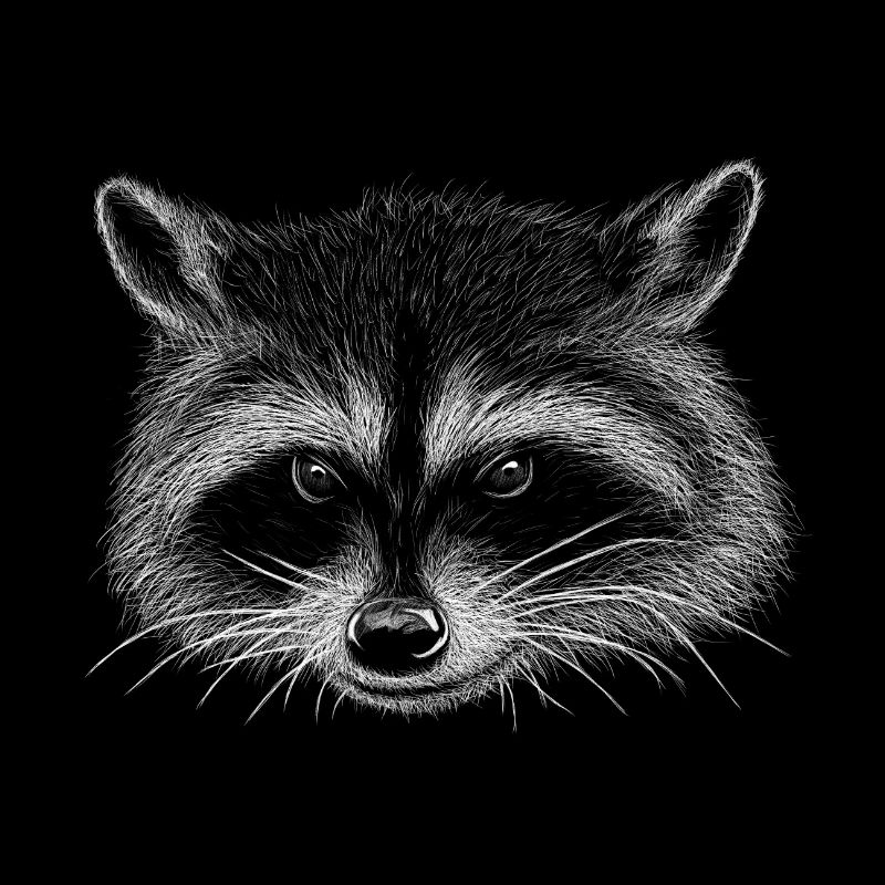 Süßer frecher Waschbär Dieb Illustration Geschenk