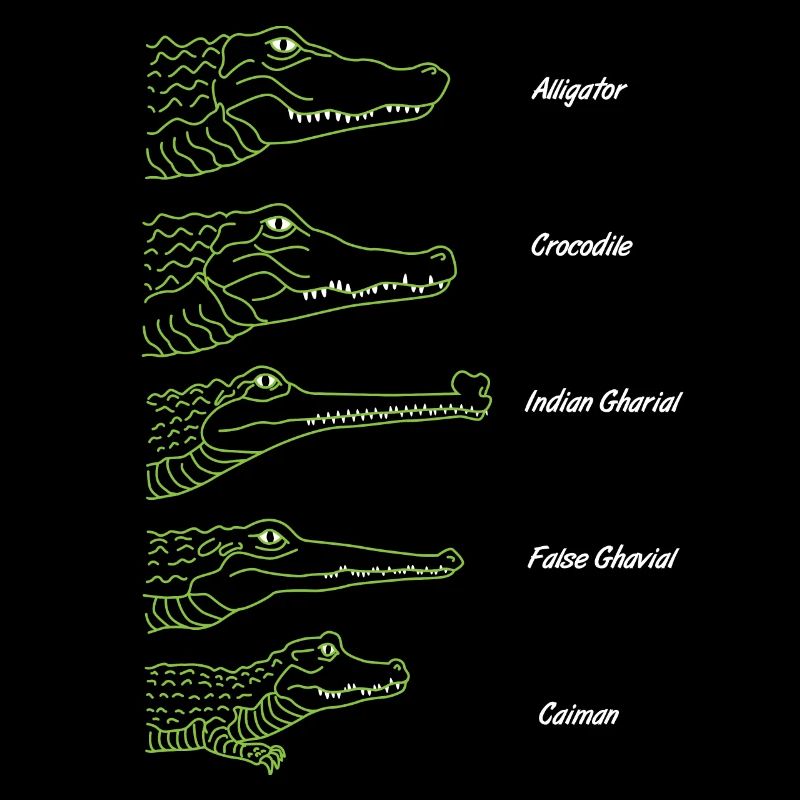 crocodile