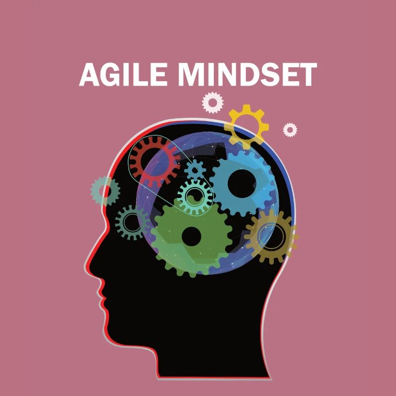 Agile Mindset Scrum Master Programmierer