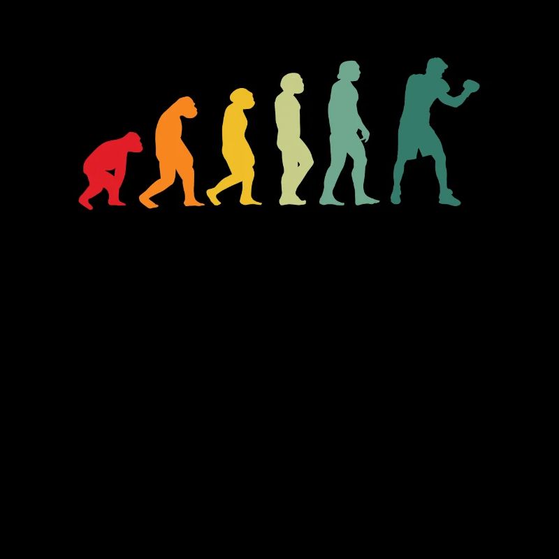 Boxe evoluzione boxe