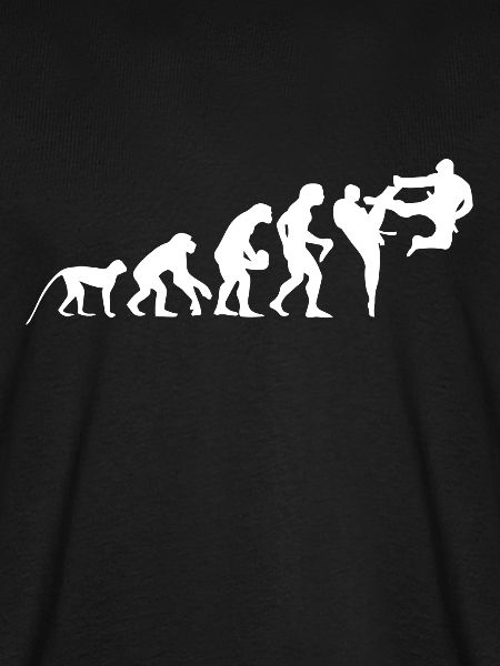 TAEKWONDO EVOLUTION