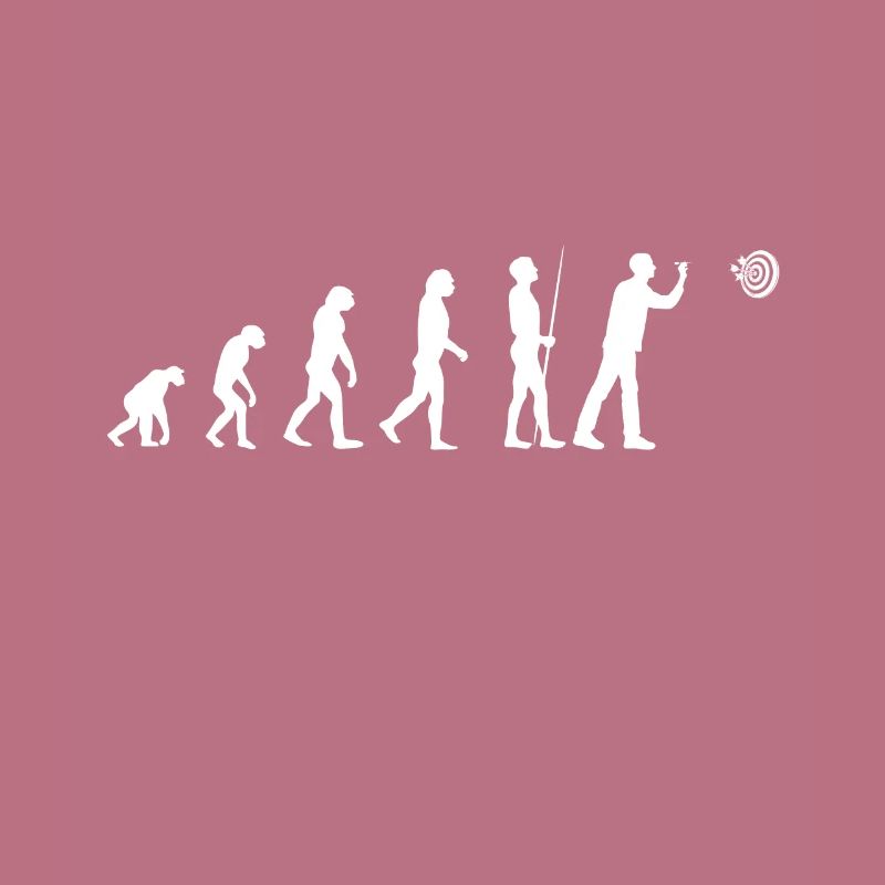 Darts Evolution Dartboard Dartpfeil Darten