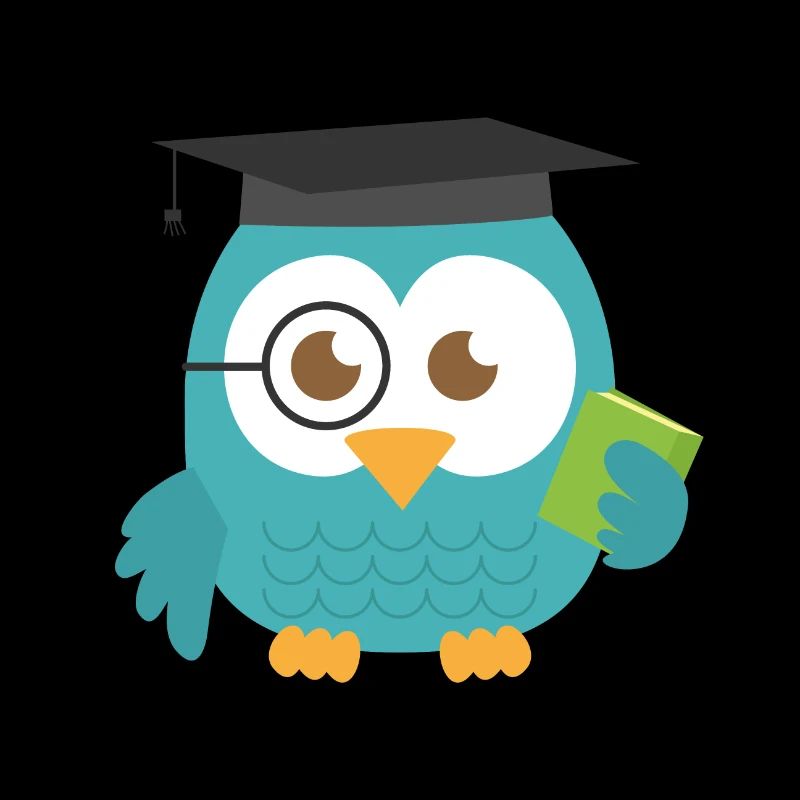 Blue Teal Lehrer Eule Absolvent