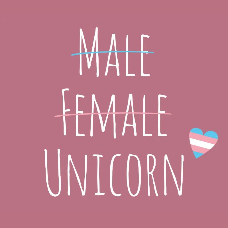 Trans Einhorn LGBT Pride Queer Trans CSD Geschenk