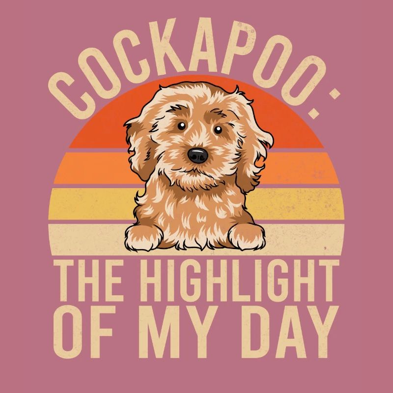 Cockapoo gaver
