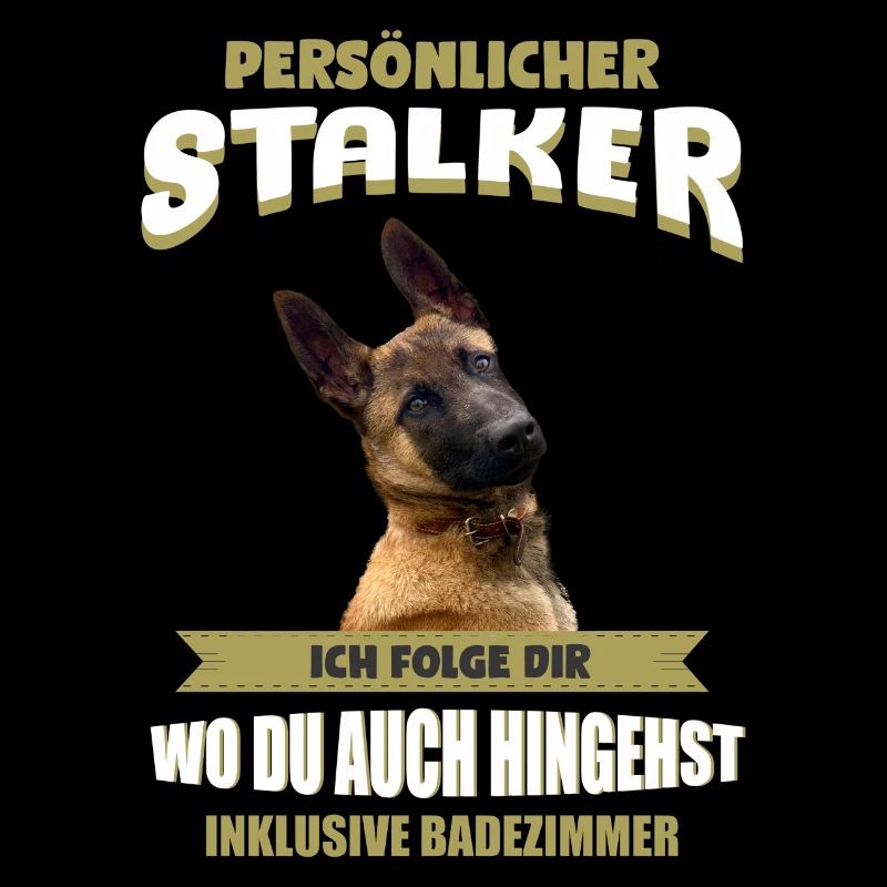 Malinois Hund - Malinois