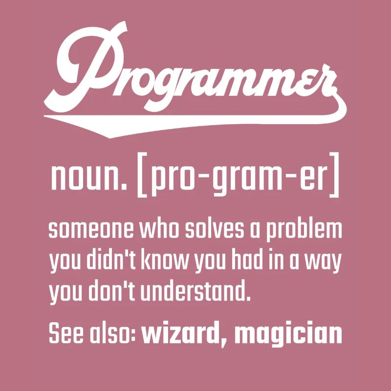 Programmer programmer noun noun definition