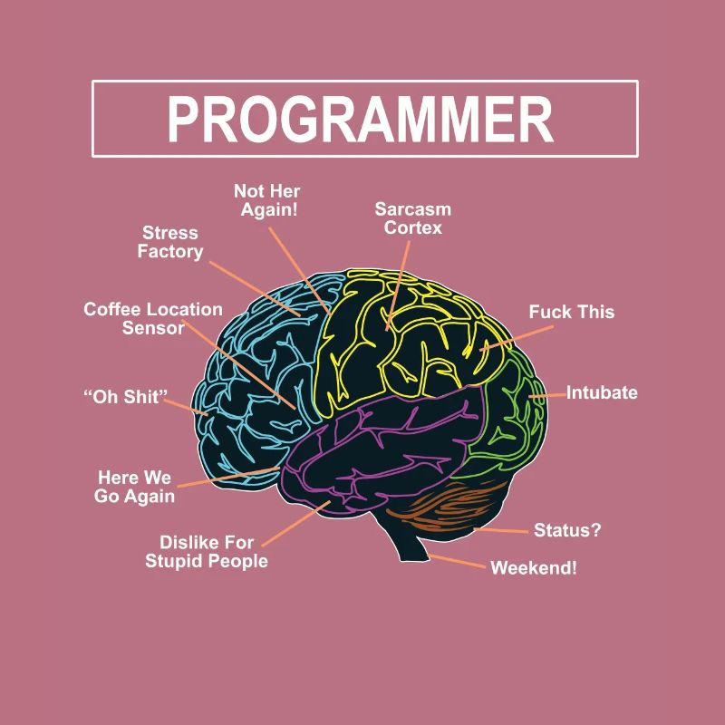 Programmierer