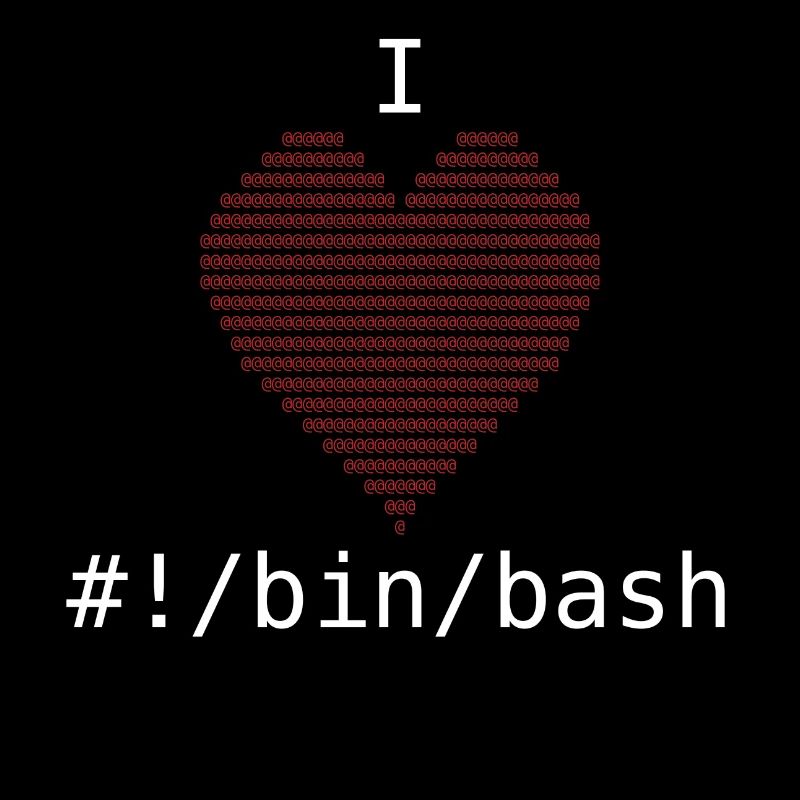 I Love Bash Administrator Developer Gift