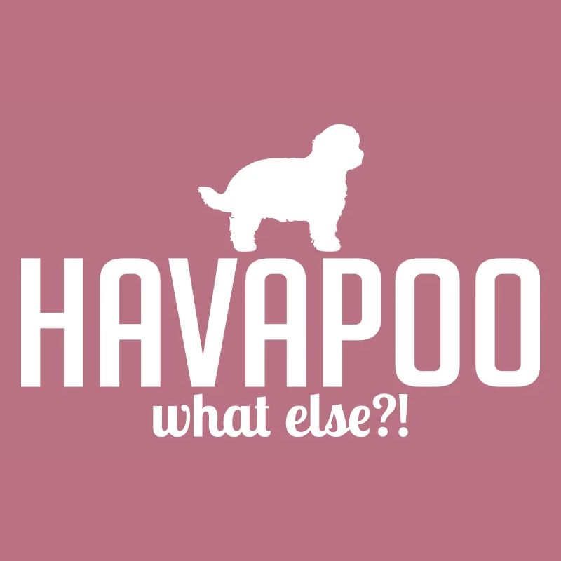 Havapoo what else Hundespruch Hunde Wilsigns