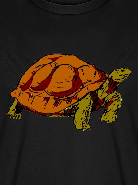 turtle