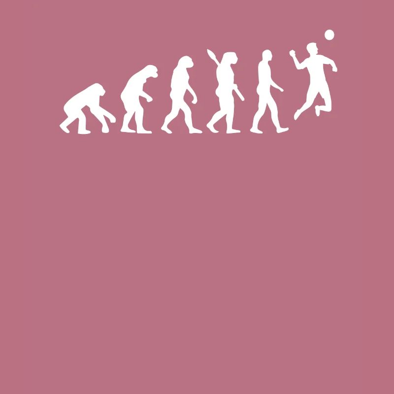 Faustball Evolution