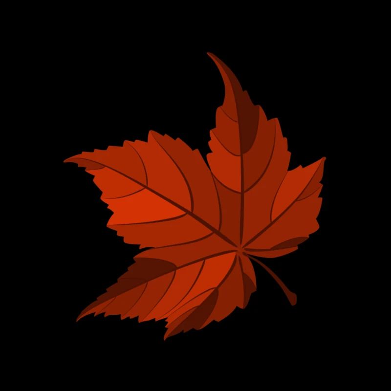 Maple leaf, autumn, foliage, leaves