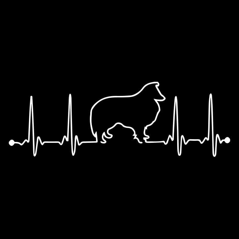 Sheltie Herzfrequenz