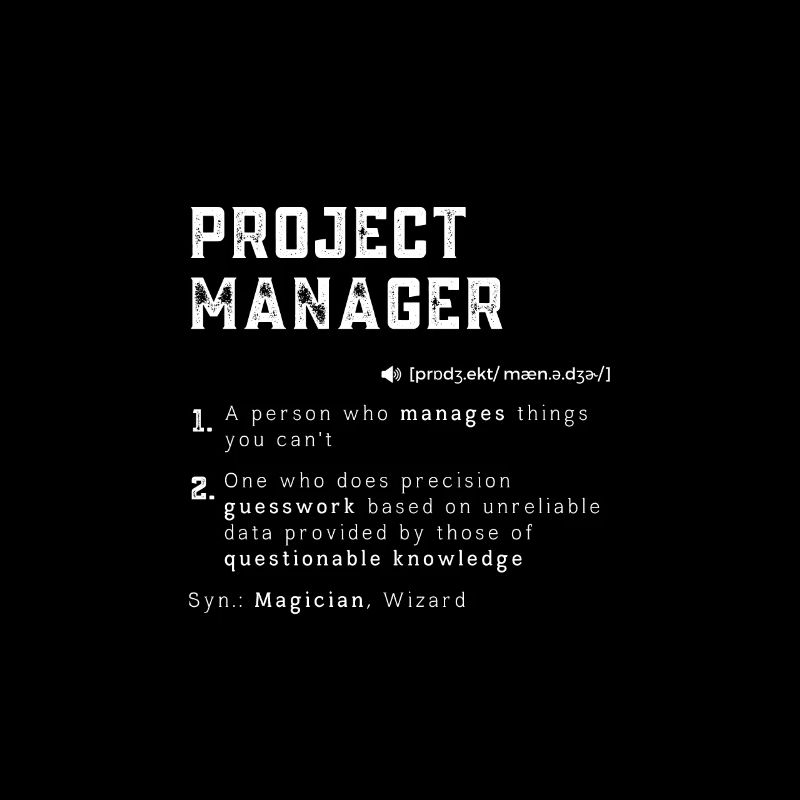 Chef de projet drôle Leader de la gestion des définitions
