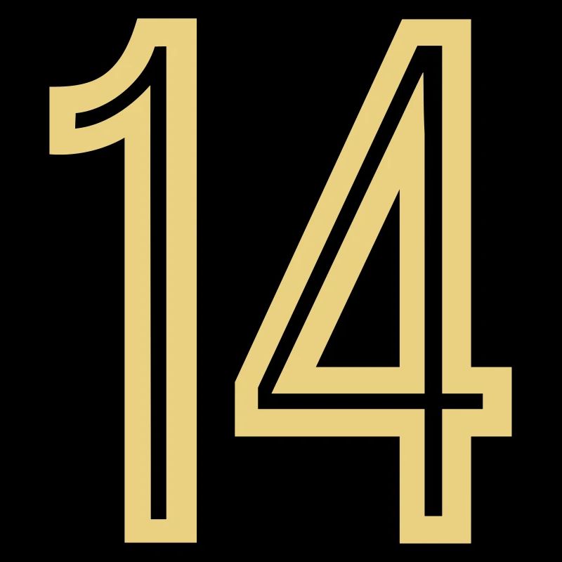 Rückennummer 14