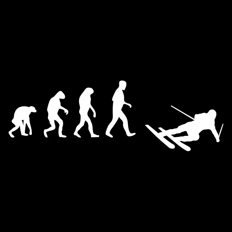 ski evolution