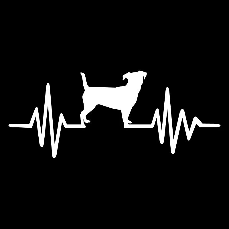 Jack russell
